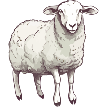 A cartoon sheep standing on a black background png