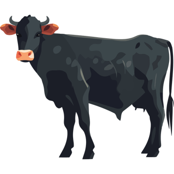 A black cow standing icon isolated png
