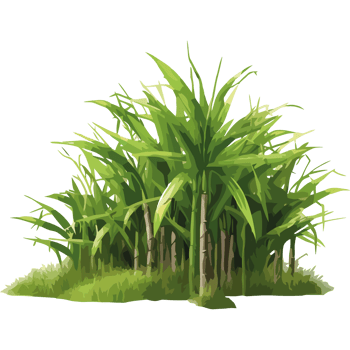 A cartoon illustration of a field of tall grass png