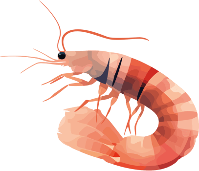 Shrimp icon isolated png