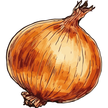 Fresh onion vegetables, ripe and healthy eating icon isolated png