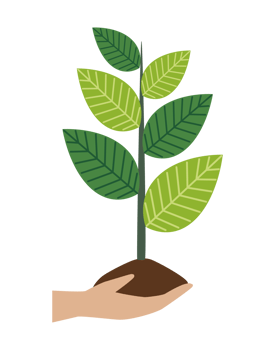 A hand holding a plant with green leaves png