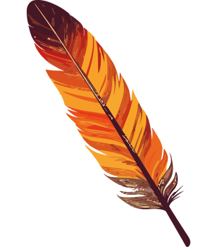 Peacock feather quill pen creates elegant nature inspired isolated png
