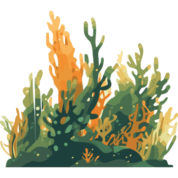 An illustration of a coral reef png