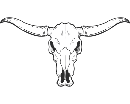 A black and white drawing of a longhorn skull png