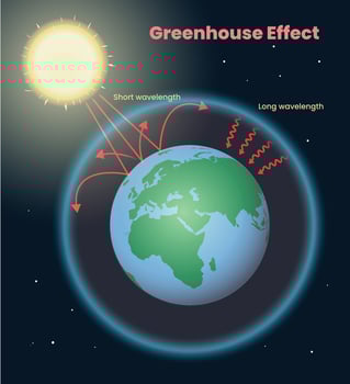 illustration of greenhouse effect infographic vector