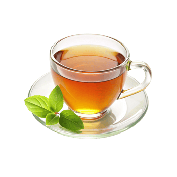 cup of tea with mint png