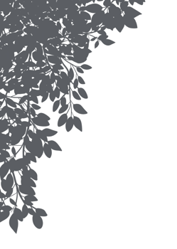 Leaves Shadow Silhouette, Illustration isolated frame of Shadow leaf png
