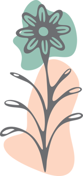 Abstract aesthetic line art floral with color organic shapes png