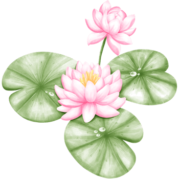 Flowers in the pond lotus flower png