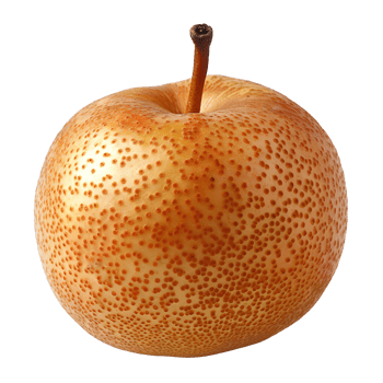 Asian pear . juicy and ripe asian pear isolated. Korean pear . Japanese pear . autumn fall fruit of asian pear as vegan and vegetarian friendly option png