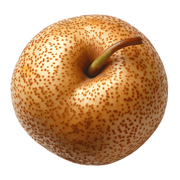 Asian pear isolated png