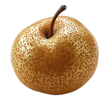 Asian pear . Juicy, organic and ripe asian pear isolated png
