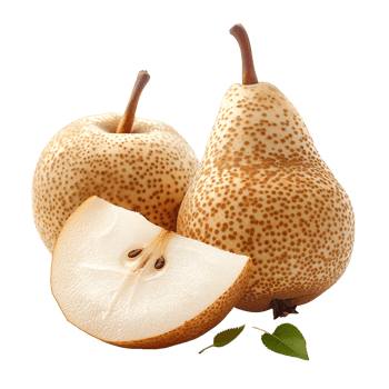 asian pear slice with leaves png