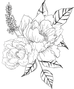 Lineart Peony Boutonniere png
