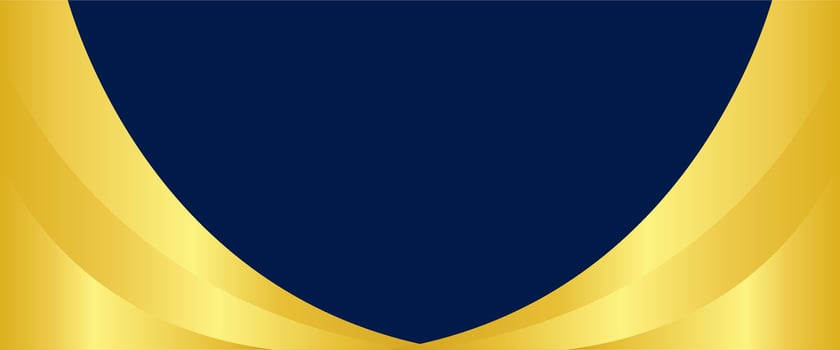 A blue and gold shield with a gold border vector