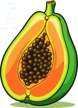 Cute simple papaya fruit buah papaya illustration. Fruits icon concept. vector