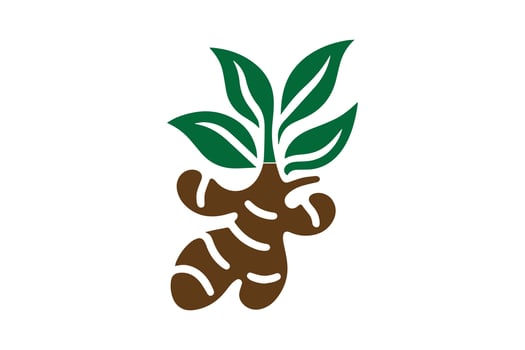 A ginger plant with leaves on it vector