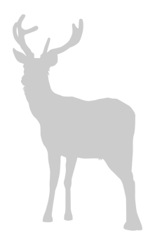 Silhouette of the Deer. Flat style, can use for Logo Gram, Emblem, Animal Illustration, Pictogram, or for Graphic Design Element png