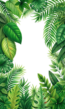 Tropical Foliage Frame with Island Vibes Illustration png