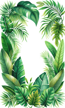 Tropical Foliage Frame with Exotic Greenery Illustration png