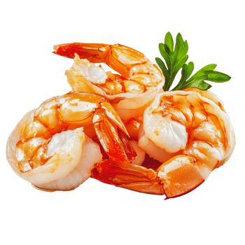 Freshly cooked shrimp on a white background png