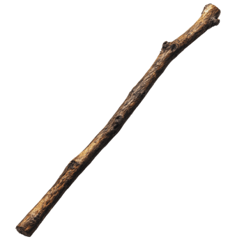 Natural stick lying on the ground in a forest png