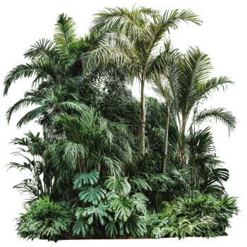 Lush tropical plants in a vibrant garden setting png