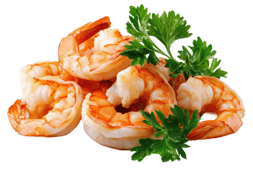 Shrimp with parsley, cut out - stock . png