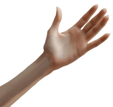 A raised hand reaching out for connection in neutral lighting, cut out - stock . png