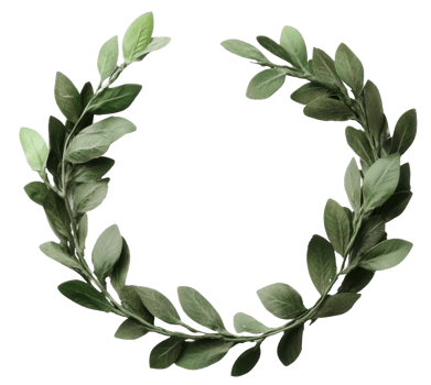Green leafy wreath for decoration, cut out - stock . png
