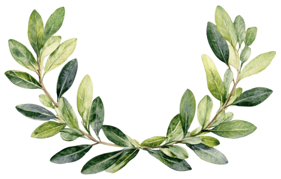 Green laurel wreath design with various leaves, cut out - stock . png