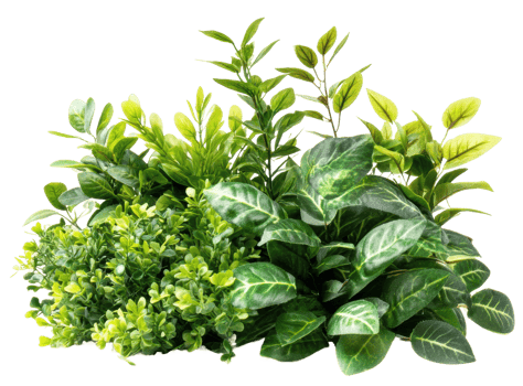 Green artificial plants for decor, cut out - stock . png