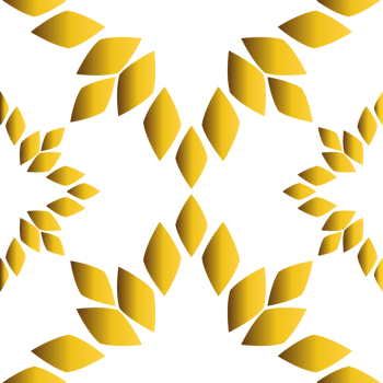 Modern Golden Shape Border png