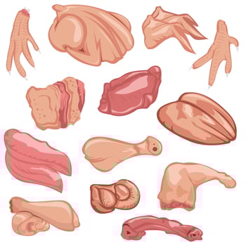 Assorted Chicken Raw Meat Cuts Illustration vector