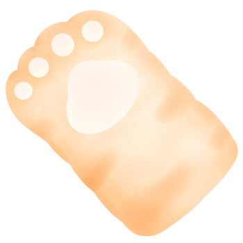 Orange cat foot cat paw paining Hand drawn water colors Ginger cat appreciation day png