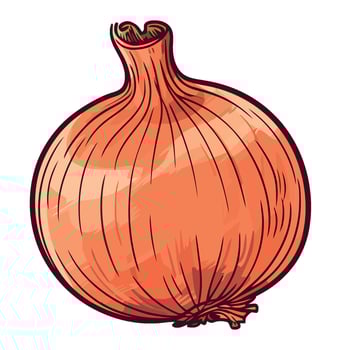 An onion is shown on a white background vector