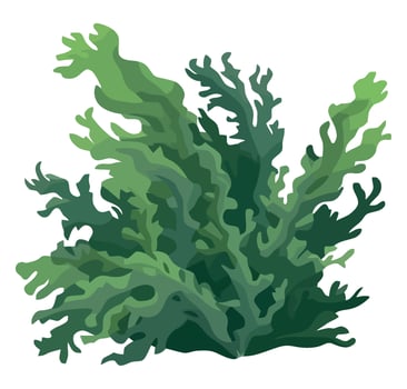 Green seaweed plant illustration isolated on white background vector
