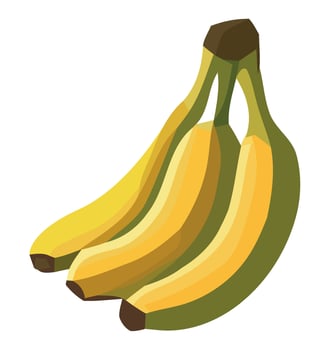 A bunch of bananas on a white background vector
