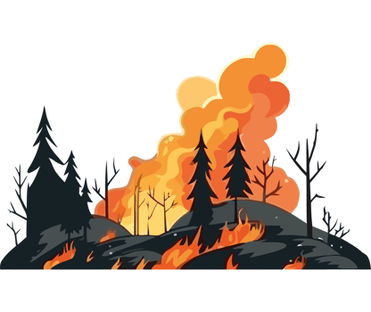 Fire and forest fire illustration png