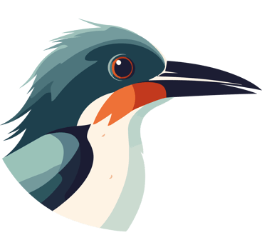 A cartoon bird with a long beak and a red beak png