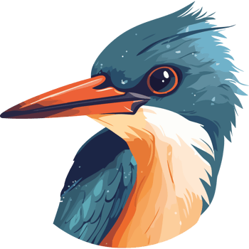 A blue and orange bird with a long beak png