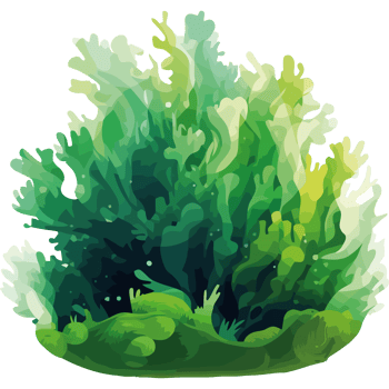 Green algae transparent png