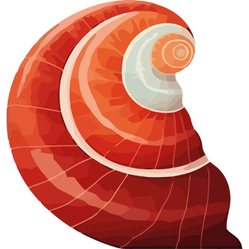 A red and white shell with a white spiral png