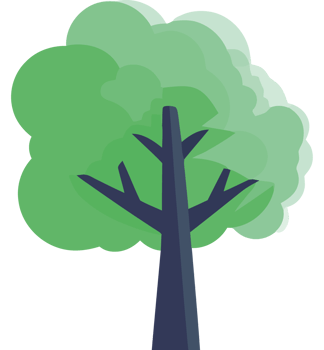 Tree clip art transparent png