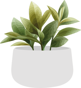 Plant in pot png