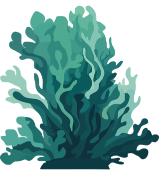 Green coral plants on a transparent background png