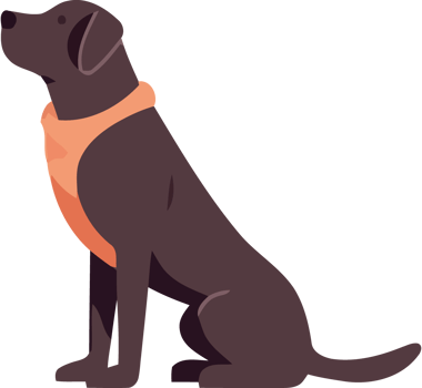 Dog collar clipart png