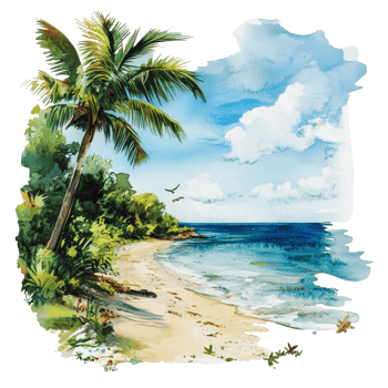 Tropical beach with palm trees and blue ocean png