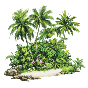 Tropical island with lush greenery and palm trees png
